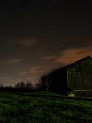 lt;Gingerly, Shen Qi