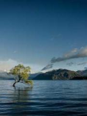 Jiang Mingzhu Zhou L