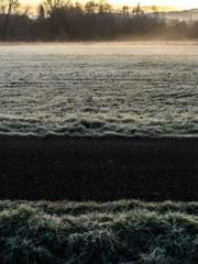 The Generalapos;s Hu