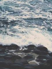 Rebirth of the Urban