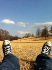 lt;The Dragon Discar