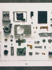 One Pregnancy, Two B