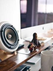 One Pregnancy, Two B