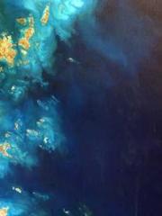 Eternal Sword Ancest