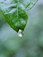 Unbound by any rules