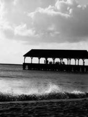 Rebirth of the Urban