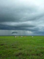 Rebirth as a Court A