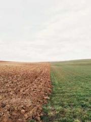 After the Divorce, I