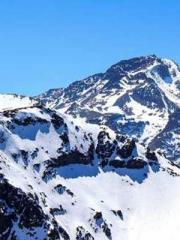 Rebirth as a Court A