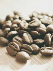 Girlfriends  lt;/pgt