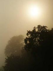 Yellow Spring Expres