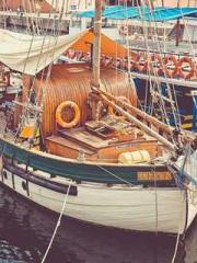 A Wifeapos;s Plea fo