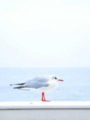 A Second Marriage Mo