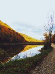 Spring fills Beijing