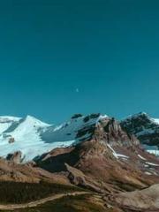 My rewards double au