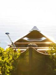 lt;lt;The Trash Husb