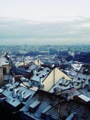 Professor Yan is goi