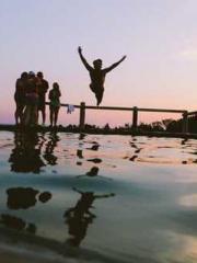 Saintly Gate Venerab