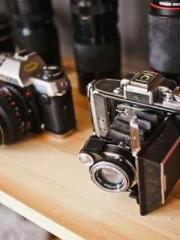 The Stand-in Wife Wa